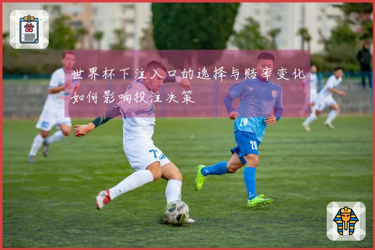 世界杯下注入口的选择与赔率变化如何影响投注决策