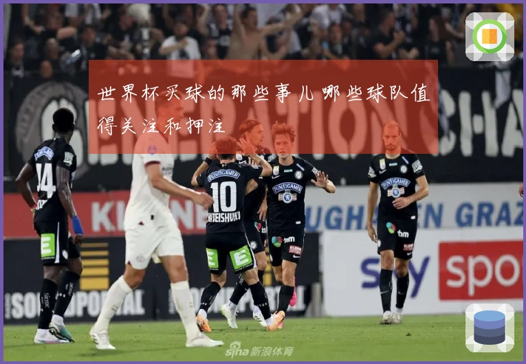 世界杯买球的那些事儿 哪些球队值得关注和押注